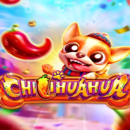 Discover the Exciting World of CHILIHUAHUA at 63X.COM Oficial 💯️